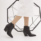 CAMPEROS BASSO LISCIO NERO<BR/> 